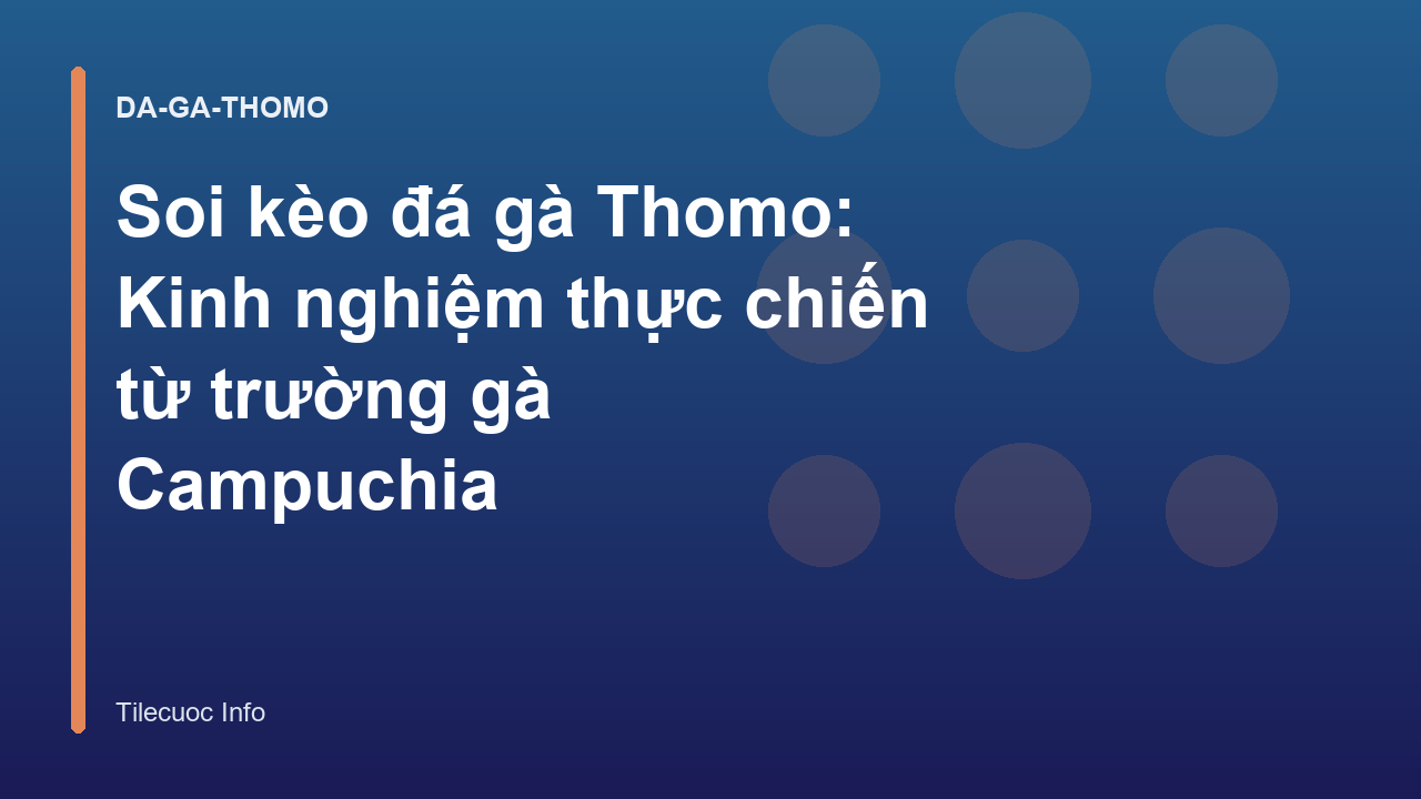 Soi kèo đá gà Thomo: Kinh nghiệm thực chiến từ trường gà Campuchia