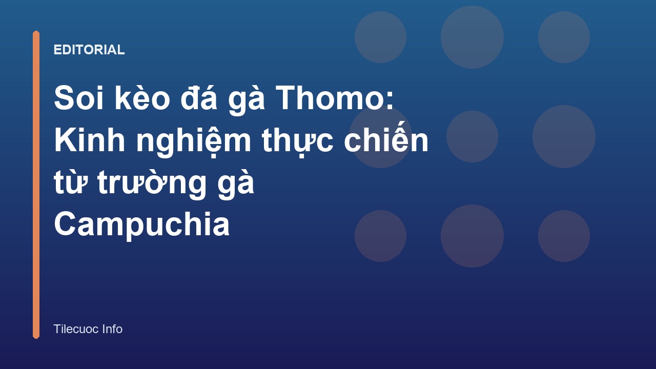 Người chơi đang quan sát chiến kê tại trường gà Thomo